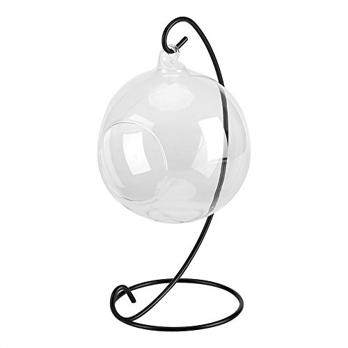Walfront Juego de Florero Colgante de Cristal para Terrario, Plantas de Aire y Suculentas - Red de Soporte