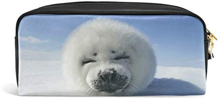 FANTAZIO Stifteetui, lustige Harfe