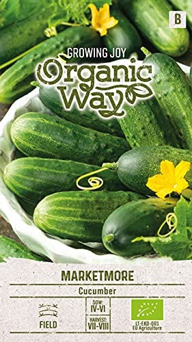 Organic Way | Semillas de PEPINO MARKETMORE | Semillas de Hortalizas | semillas de pepino | semillas de jardín | Variedad de pepino semiprecoz de alto rendimiento | 1 paquete
