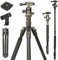 ZOMEi 196cm Kamera-Stativ Reise Aluminium Einbeinstativ Heavy Duty Stativ Stand mit 360° Kugelkopf, Tragetasche, Handy-Halter Perfekt für Videoaufnahmen/Selfies/Live Stream/Vlogging(Gold)