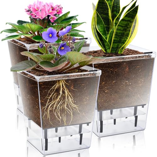 IWNTWY Lot de 3 pots à arrosage automatique de 12,7 cm pour plantes d'intérieur, pots de fleurs transparents avec réservoir profond pour plantes araignées, orchidées, violet africain