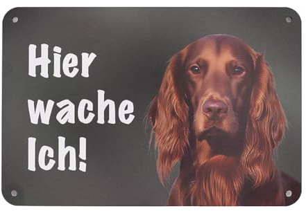 Irish Red Setter Jagdhund „Hier wache ich!“ Hundeschild – UV- und wetterfestes Warnschild für Gartenzaun, Tor und Grundstück – Aluverbund, 24 x 16 cm – Made in Germany