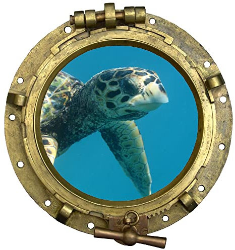 GRAZDesign Wandtattoo Badezimmer Bullauge Schildkröte, Wandsticker Fliesensticker Maritime Deko für Fliesen, Wand, Tür, Schrank, Wandaufkleber - 32x30cm