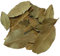 Titanbird 100g Feuilles de Laurier Entières - Arôme & Goût Intense - Sachet avec Zip - 100% Naturel, Pur et Sans Additifs | Qualité Supérieure