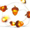 Eicheln lichterkette herbst,2M 20 LED Lichterkette,outdoorlichterkette batterie,Deko timerlichterkette herbst,Herbst Eichel Dekoratives Licht für Erntedankfest, Weihnachten, Hochzeit, Geburtstag Party