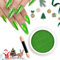 BISHENGYF Green Chrome Nail Powder -Mirror Chrome Nail Powder, Green Chrome Powders for Nails Metallic Nail Pigment Powder, Nail Chrome Powders for Nails Magic