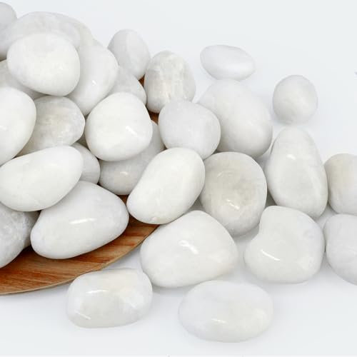 NUPICK 3lb River Rocks for Plants Indoor, 1-2Inch White Pebbles for Vases Fillers, Decorative Gravel for Fish Tank, Natural Polished Stones for Succulent, Bonsai, Landscaping, Bird Baths