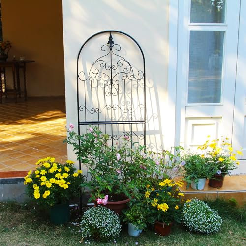 SCENDOR GARDEN Gartentrellis 150CM x 55CM x 1.3CM - Eisen, Einzigartiges Design, Robuste Konstruktion, Lattengitter für Rosen, Reben, Efeu, Clematis - Kletterpflanzenstütze