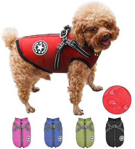 Hundemantel Wasserdicht mit Geschirr, Warme Winter Hundemantel, Hund Wintermantel für Kleine Mittel Große Hunde, Hundejacke Chihuahua Labrador Französische Bulldogge
