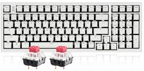 Hexgears X4 Mechanische Tastatur mit Nummernblock, USB-C Hot Swappable Custom Tastatur, vorgeschmierte lineare Schalter, weiße LED-Hintergrundbeleuchtung, Computer-Gaming-Tastaturen für PC/Tablet