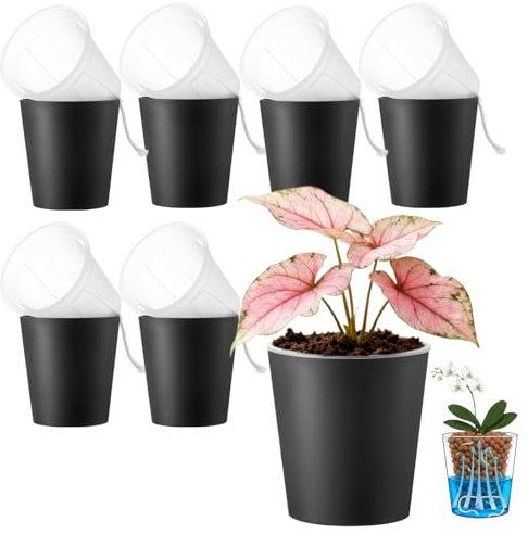 TineDew 6 inch self Watering Pot with Clear Nursery Pot Inside,Black,6pack | dual-pot systerm with wick,Root Visibility,Flexible Use for semi hydro or soil culture,repotting for Monstera,Orchids,plastic