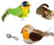 JJW 2PCS Katzen Spielzeug Vogel - Realistisch gestaltete kuschelige Fellspielzeug mit Feder für Katzen - Ideales Entspannungsspielzeug