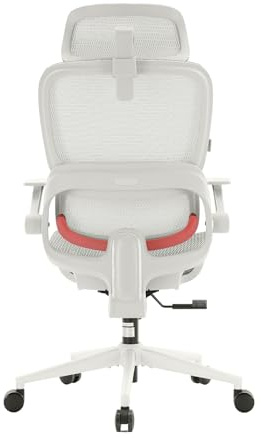 SIHOO Chaises de bureau ergonomiques B100 Lite pour la maison