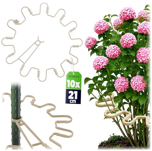 KADAX Staudenhalter Rund Ø 21 cm im 10er Set, Pflanzenhalter aus Kunststoff, Pflanzenstütze, Staudenstütze für Hortensien & Pfingstrosen, Hortensienhalter, Pflanzring (Beige)
