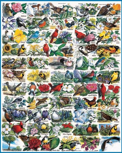 White Mountain Puzzles Jigsaw Puzzle 1000 Pieces 24X30-State Birds & Flowers