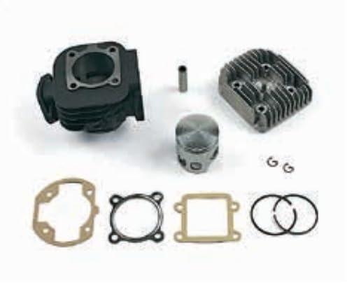 KT00088 GRUPPO TERMICO DR EVOLUTION 70CC GHISA ARIA D.47 SPIN.10 MINARELLI VERTICALE