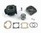 KT00088 GRUPPO TERMICO DR EVOLUTION 70CC GHISA ARIA D.47 SPIN.10 MINARELLI VERTICALE