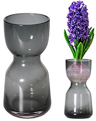 Hyazinthe Forcing Vase, Forcing Clear Vase Wide Mouth Glas Vase Samen Sprout Starter Vase für Büro Zuhause Tisch Dekorieren Ornamente Avocado Baum Zimmerpflanze Anbau