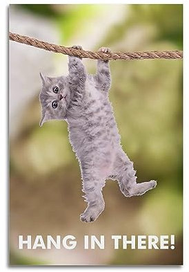 Hang in There Cat Retro-Poster mit motivierendem coolem Motiv, dekoratives Gemälde, Leinwand-Wandposter und Kunstdruck, modernes Familienschlafzimmer-Dekor-Poster, 40 x 60 cm