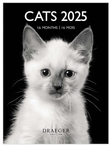 DRAEGER PARIS 1886 - Kleiner Wandkalender 14 x 18 cm 2025 – Katzen schwarz & weiß – von September 2024 bis Dezember 2025 – 12 Fotos – 7 Sprachen – elegantes Design – hochwertiges Papier – kompakt