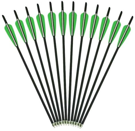 AMEYXGS 6pcs Flechas de Ballesta Pernos de Ballesta Flecha de Carbono 16 17 18 20 22 para la Caza de Ballesta o la Práctica de Tiro con Arco (Verde Blanco, 17)