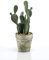 artplants.de Cactus Nopal de plástico ACEDERA en Maceta Decorativa, Verde, 20 cm - Cactus Artificial - Planta Falsa