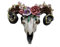 Gifts Direct 2 U Ram Skull Wall Sculpture Wall Mount Animal Cow Skull Decoration with Horns, Flowers Resin Ornament Home Decor