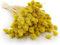 Enchanted Dekogras Getrocknetes Gras Ziergras Kanariengras Phalaris Trockenblumen Natürlich Boho Ca. 100 Stück 80 g Gelb