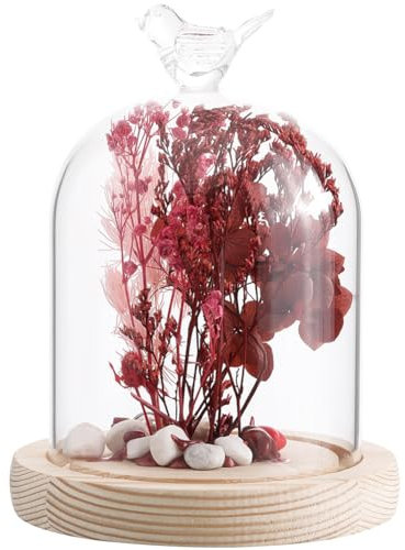 SUNNYCLUE Cloche à Dôme en Verre de 113x144 mm avec Base en Bois, Cloche en Verre Transparent, Cloche Décorative pour Mariage, Maison, Plantes, Fête de Noël, Décoration