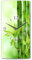 Kreative Feder Bambus Chill Out Funk Wanduhr Funkuhr modernes Design WA091F * Made in Germany (50x25)