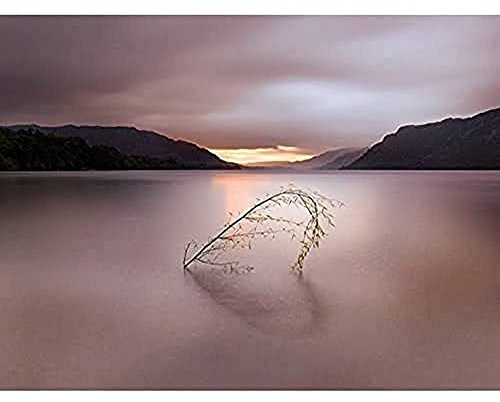 Pyramid Ian Winstanley Tranquil Heart, 60 x 80 cm, Leinwanddruck, Mehrfarbig