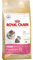 Royal Canin Katzenfutter Kitten, Persian 0,4 Kg