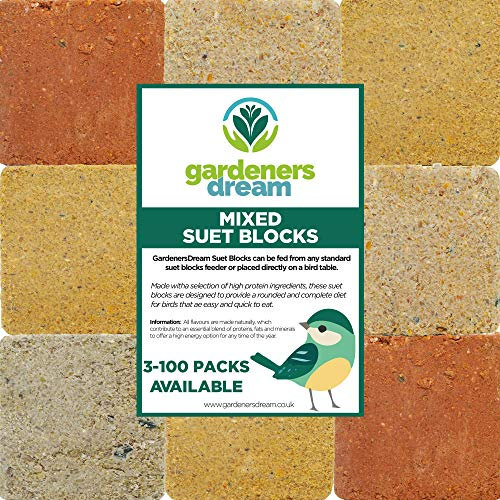 GardenersDream Suet Fat Blocks | Premium Garden Wild Bird Food | Enhanced Formula | Naturally Blended, High in Energy & Protein-Rich Feed | Full of Nutritious Fibre & Moisture (Peanut, 3)