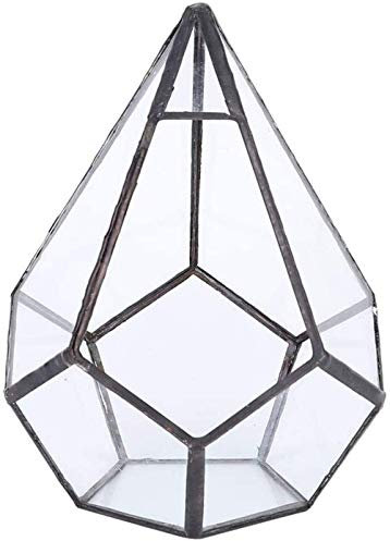 Silber Klarglas Dodekaeder Geometric Terrarium Globe Pflanzgefäß Container Indoor Fairy Pot Gartentopf Sukkulente Pflanze Herzstück Hochzeit Beistelltisch Elegant