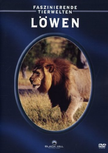 Löwen - Faszinierende Tierwelten