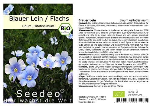Seedeo® Blauer Lein/Flachs (Linum usitatissimum) 200 Samen BIO