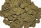 Hausmarke Welschips Algae Wafers Plecos für Welse Corydoras Futtertabletten Spirulina Welsfutter (5 Liter)