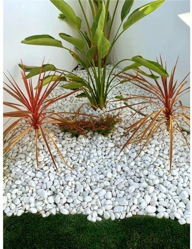 Jardin202 - Piedras de Canto Rodado Blanco 25kg – Decoración Jardín Exterior y Macetas | Tamaños 20/25, 20/40 y 40/60 mm | 20/25 -