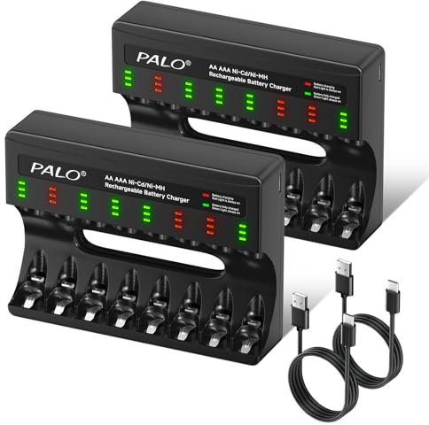 CITYORK 8-Slot Akku Ladegerät für NIMH/NICD Wiederaufladbare AA AAA Akku Micro-USB Schnell Ladung Batterieladegerät mit LED Anzeige (2er-Pack ladegerät + unabhängiger Steckplatz)