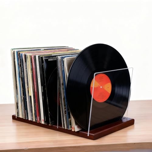 GREENSAPPIRE Schallplattenständer Ein Schallplattenhalter im Kapazität | Minimalistischen Design 60 LPs mit rutschfesten Rillen, Passt zu jeder Einrichtung für Alben, Regal, Organizer