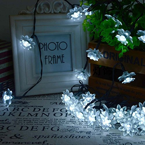 Gimuk Lichterkette mit 10 oder 20 LEDs in Warmweiß, Anhänger in Form von Holzherzen, Deko für Weihnachten, Hochzeiten und Partys, batteriebetrieben