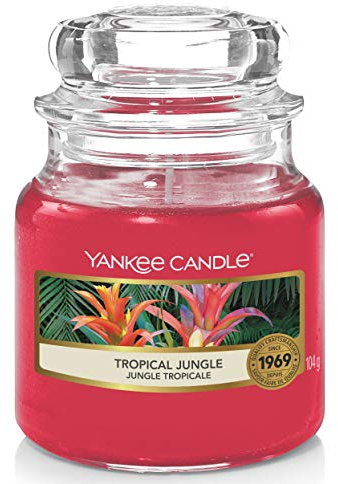 Yankee Candle Scented Candle | Tropical Jungle Small Jar Candle | Burn Time: Up to 30 Hours