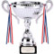Personalised Engraved Turin Silver Cup 6 1/2 Inch (16.5cm)