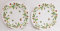 Lot de 2 assiettes en porcelaine anglaise décorée à la main Motif fraises et papillons 27 cm