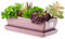 botle Blumentopf Blumenübertopf Rose Kaktenschale mit Untersetzer Rechteck LxBxH 15 cm x 29 cm x 9 cm Oberfläche Glanz Kakten Keramik Modern Glamour