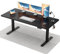 Flamaker Höhenverstellbarer Schreibtisch Ganze Tischplatte 160 x 60 cm Elektrischer Schreibtisch Höhenverstellbar für Steh-Sitz, Computertisch mit Memory-Funktion,Standing Desk,Schwarz