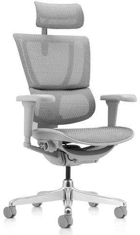 hjh OFFICE Bürostuhl ergonomisch ERGOHUMAN Slim Ultra G GEN2 Originales Design, Bürosessel mit Flexibler Lendenwirbelstütze, Netzbespannung, Grau