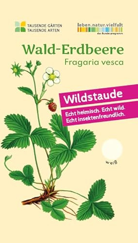 Wald-Erdbeere | Fragaria vesca in BIO-Qualität (torffrei), im 0,69L Topf, heimische Wildpflanze (wie sie ursprünglich in der Natur vorkommt), liebevolle Handarbeit aus dem Westerwald (5er Set)