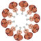 Dandelionsky 10Pcs 30MM Crystal Glass Door Knobs Rose Gold Diamond Cut Cupboard Cabinet Handle Drawer Pull with Screws for Home Furniture Wardrobe Drawer Decor