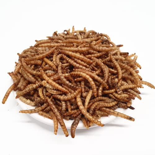 Supravit Mehlwürmer getrocknet 5kg (entspricht 32,5 Liter) | Leckeres Insektenfutter für Wildvögel Igel und Hamster…